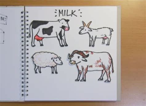 Naked Scrapbook How Is Cheese Made Naked Scientists