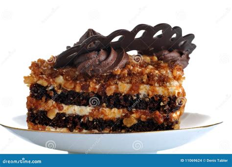 Chocolate Cake With Nuts Stock Photo Image Of Birthday 11069624