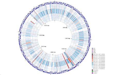 Circular Map Comparing Strain Ccb Mm Genome And Seven Other