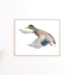 Flying Mallard Duck Digital Download, Mallard Duck Clip Art - Etsy