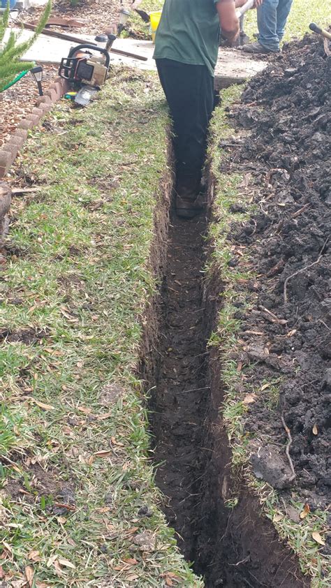 Tree Root Barrier Installation Katy, Sugar Land, Houston & Fulshear ...