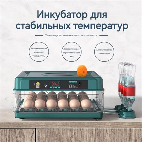 15 инкубатор для яиц автоматический,220В/12В - купить с доставкой по ...