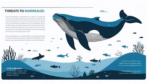 marine mammal protection act safeguards ocean life worldwide