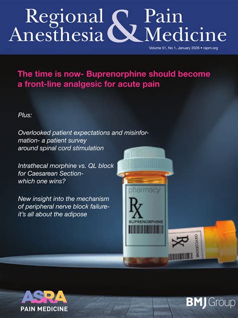 pain medication for cats buprenorphine 11