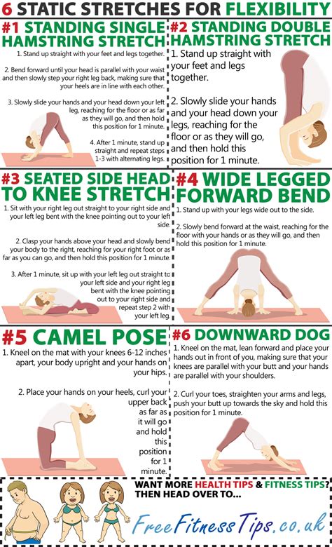 Youre 6 Stretches Away From Flexibility Infographic