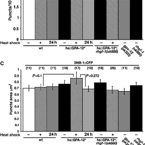 TPA-1 and RHGF-1 define at least two different GPA-12 signalling ...