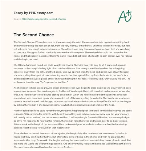 The Second Chance (600 Words) - PHDessay.com