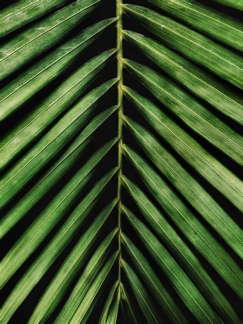 Vertical+Monitor+Wallpaper Photos, Download The BEST Free Vertical