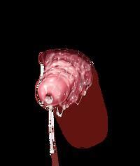 Misc Templates Shungikuten Pochincoff Musouduki LIMGAE E Hentai Lo Fi Galleries