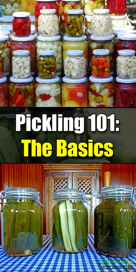 Pickling 101: Basic Tips and Things to Remember - Easy Balcony Gardening