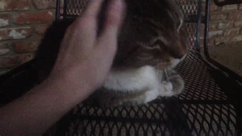 Rubbing Some Fat Pussy Outdoors NSFW YouTube