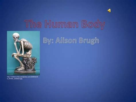 Ppt The Human Body Powerpoint Presentation Free Download Id 2756586