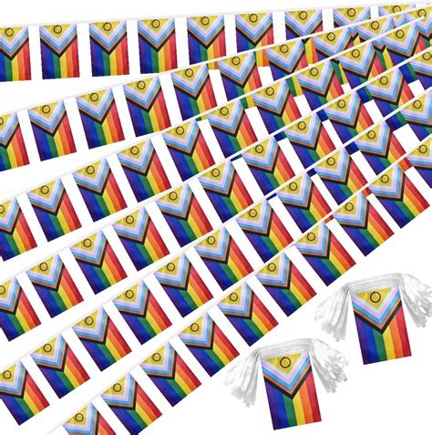 Amazon Fisottey 2 Pack New Intersex Progress Gay Pride Flags Banner Rainbow Small Mini