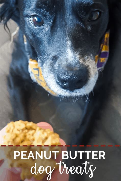 These Four Ingredient Peanut Butter And Banana Dog Treats Are So Easy