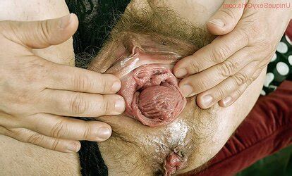 Haarige Fotze Ausgeleiert ZB Porn