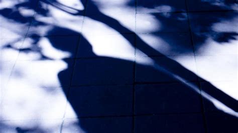 Insulted Notorious Sex Worker Rapists Charges Dropped In Plea Deal The Courier Mail