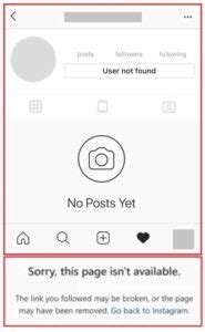 user   instagram explained  definitive  solutions