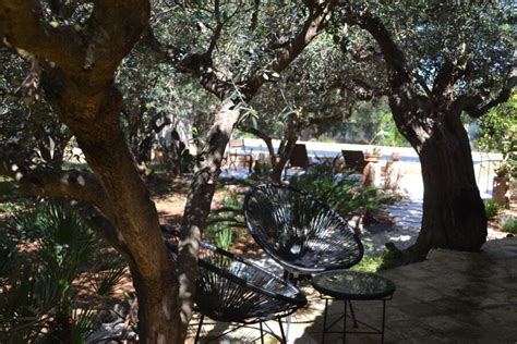 olive retreat scent  sicily case vacanze  sicilia
