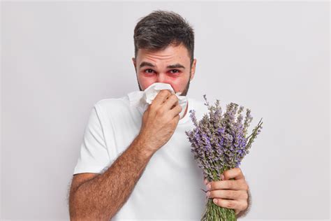 Alerjik Rinit Nedir Saman Nezlesi Belirtileri