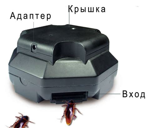 Ловушки для тараканов: виды, какие из них можно сделать своими руками ...