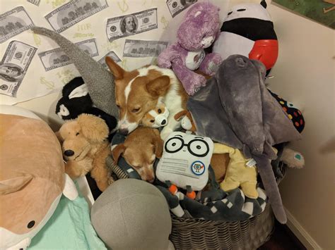 They'll never find me here! | Scrolller