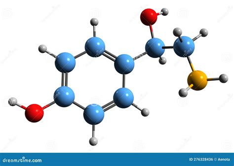 Octopamine Stimulant Drug Molecule Sympathomimetic Agent Skeletal