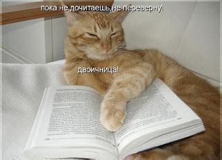 БИБЛИОРЕАЛЬНОСТЬ (блог НТБ КузГТУ): БИБЛИОТЕЧНЫЙ ЮМОР