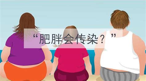 近胖者胖：肥胖也是一种细菌，像流感一样可以传染！ 知乎