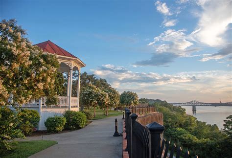 Dining Guide: Top-Rated Restaurants in Natchez, Mississippi 8
