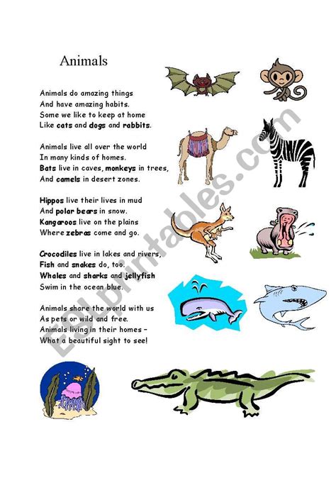 Poems About Animals That Rhyme