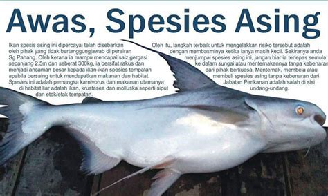 spesies pendatang perosak  semakin tular