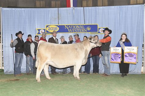 Executive Sires Inc Django Sires The Open Jr Show National