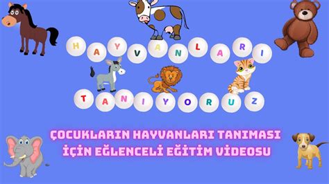 Hayvanları Tanıyalım Hayvanları Öğreniyoruz Çocuklar İçin Hayvanlar