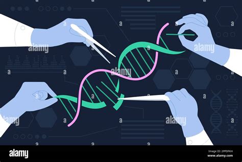 Genetic Engineering Concept Baby Genetics Edit Human Dna Crispr