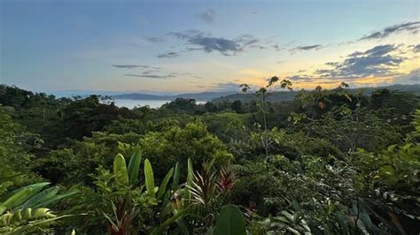 Pirate Drake Drake Bay Tripadvisor