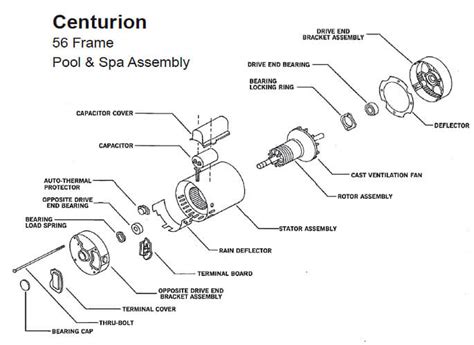 Century Pool Pump Parts