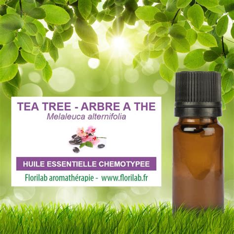 Huile Essentielle Melaleuca Alternifolia Tea Tree Ou Arbre Th