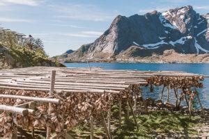 My Local Guide to Visiting Reine, Norway - Lofoten's Most Beautiful ...