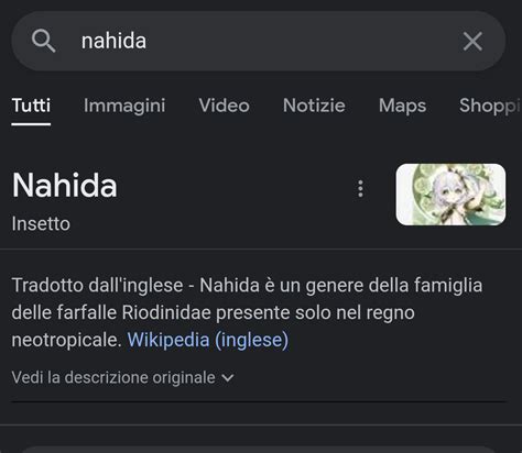 The Fuck I Find Nahida In Google And Found This R Genshin Memepact