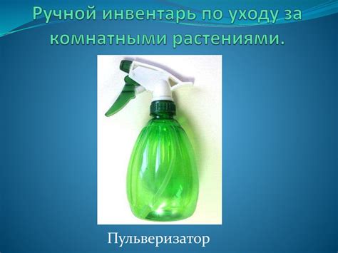 Уход за комнатными растениями - презентация онлайн