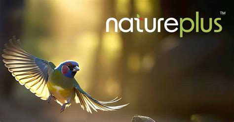 Home - NaturePlus™