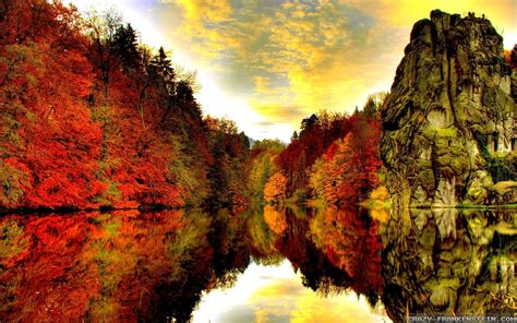 3d Autumn Woods Wallpapers Wallpaper Cave