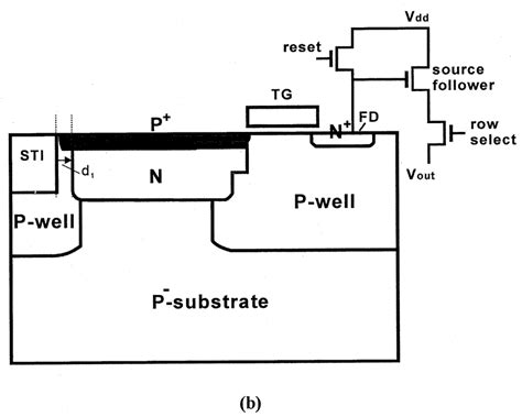 test structure   transistor type active pixel  layout