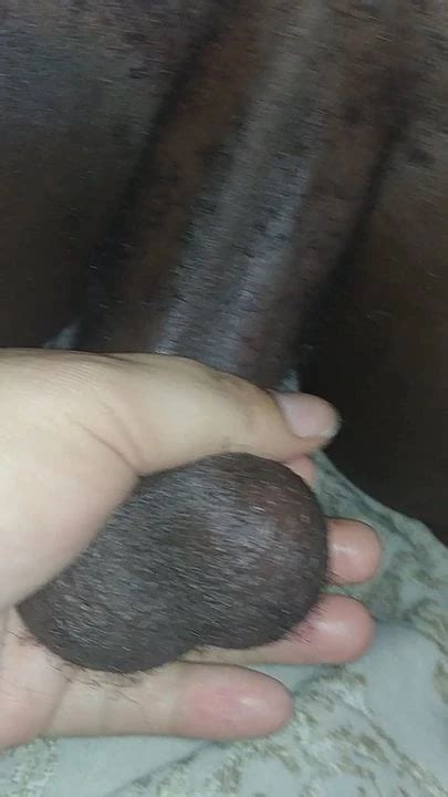 Hard Ball Tugging Gay Porn XHamster