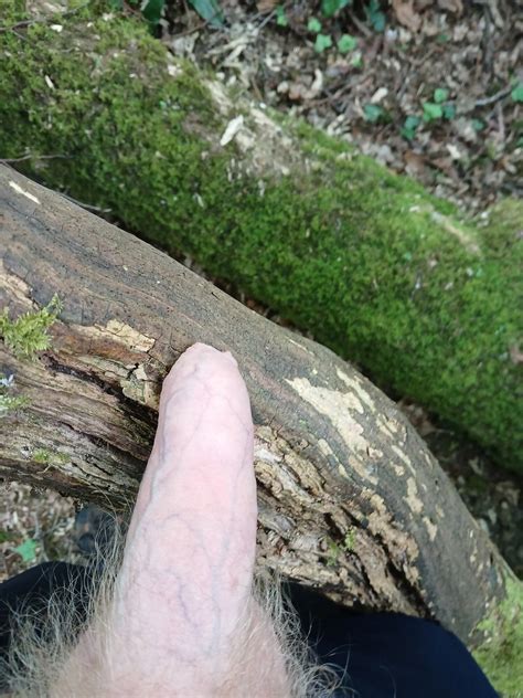 Free Gay Porn Pics Homosexual Sex Photos Xhamster