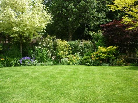 Open Gardens Lawn The Lawn Man