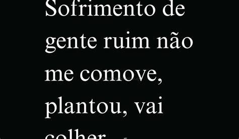 Não Me Comove O Pranto De Quem É Ruim Significado - Sofrimento de gente ruim não me comove, plantou, vai colher.