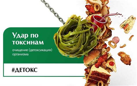 Очищение организма от шлаков и токсинов | Совбиотех