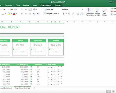 Multiple Credit Card Payoff Calculator Spreadsheet — Db