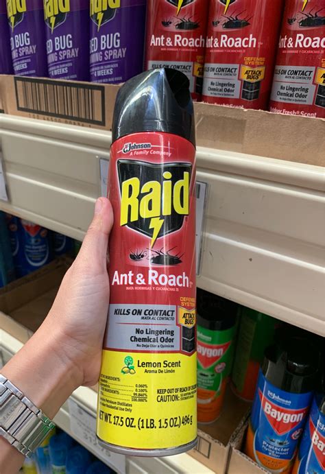 Buy Raid Ant Roach Killer Aerosol Spray